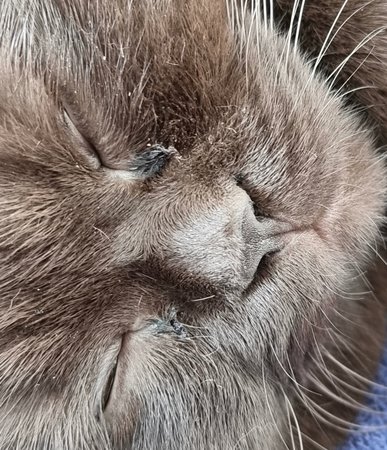 3-Fotozoom.jpg 3-Fotozoom.jpg