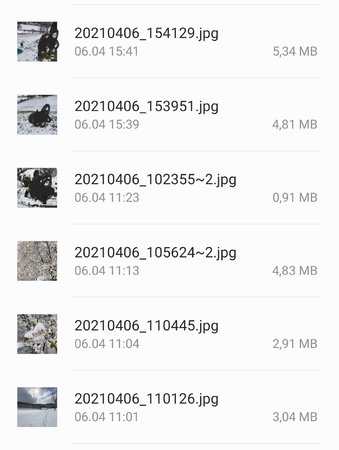 Screenshot_20210407-173245_My Files.jpg