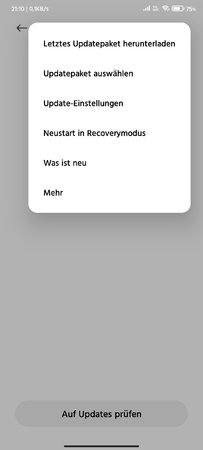 Screenshot_2021-04-07-21-10-02-984_com.android.updater.jpg