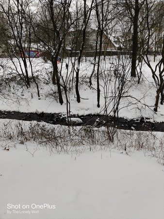IMG_20210208_144259.jpg