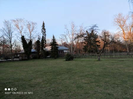 IMG_20210307_175549.jpg
