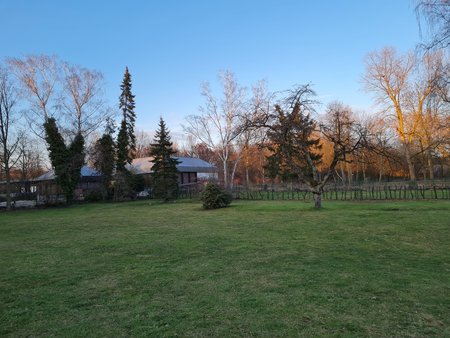 20210307_175529.jpg