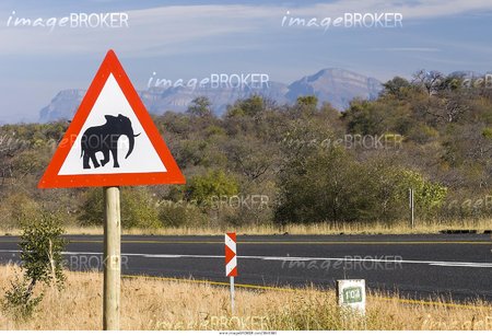 imageBROKER-3941303-layout.jpg
