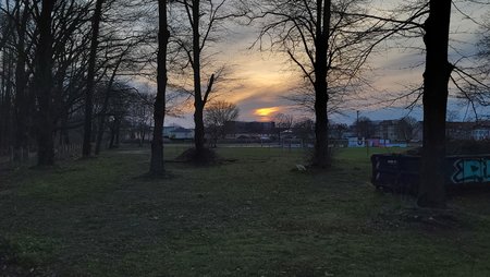 20210409_192645.jpg