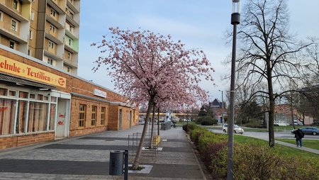 20210409_184729.jpg