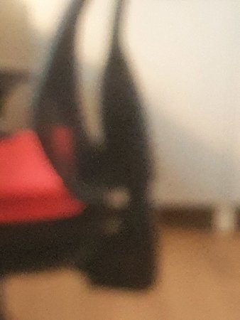 20210410_174650.jpg