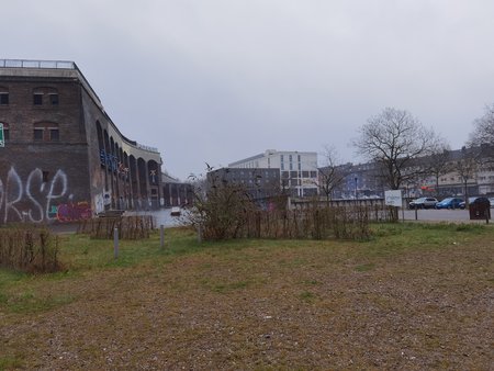 IMG_20210410_184223.jpg