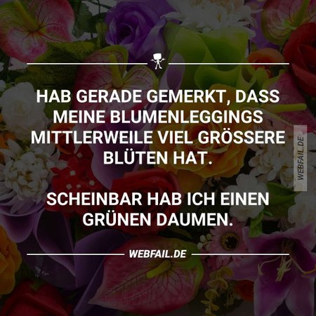 leggblu.jpg
