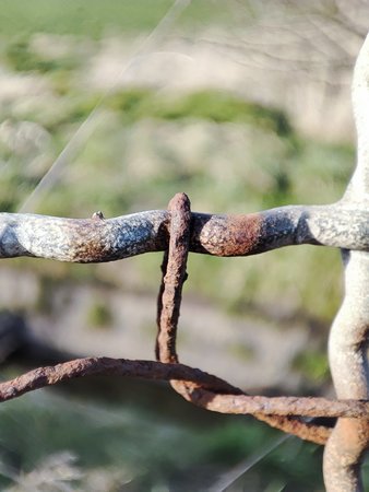 IMG_20210415_182012.jpg