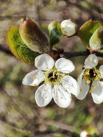 IMG_20210415_172242.jpg