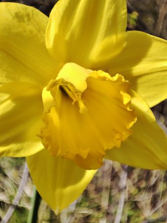 IMG_20210415_171757.jpg