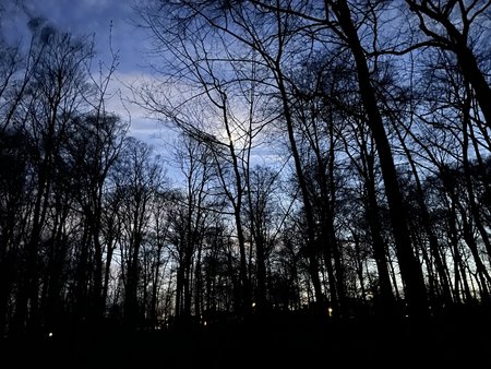 F1AC6D31-1EBB-499A-9BE0-AC5A06CC9E90.jpeg