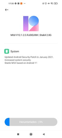 MIUIScreenshot_2021-04-19-17-33-14-013_com.android.updater.jpg
