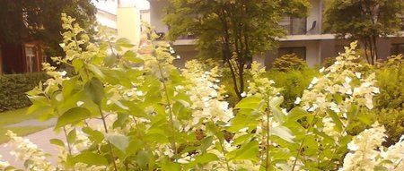 20120717_163832.jpg