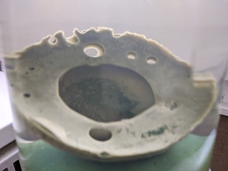 PXL_20210421_170059348.jpg
