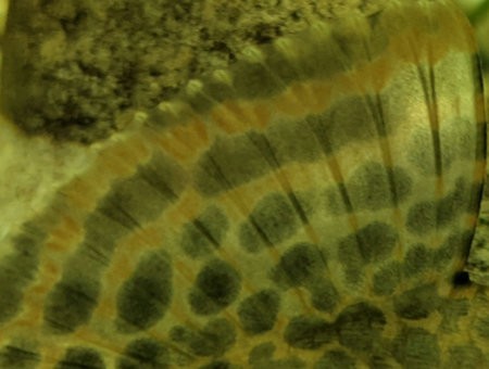 PXL_20210414_171344423_1.jpg