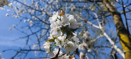 IMG_20210423_161740.jpg