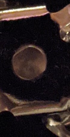 PXL_20210423_193555820~2.jpg