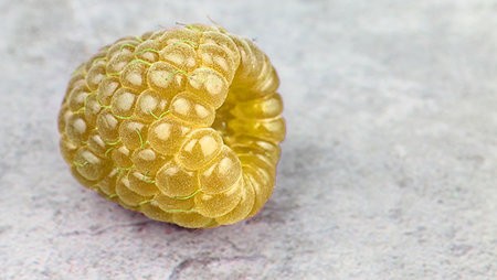 goldene_himbeere.5956722.jpg
