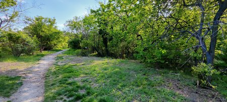 IMG_20210425_163300.jpg