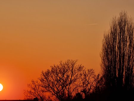 20210420_201556.jpg
