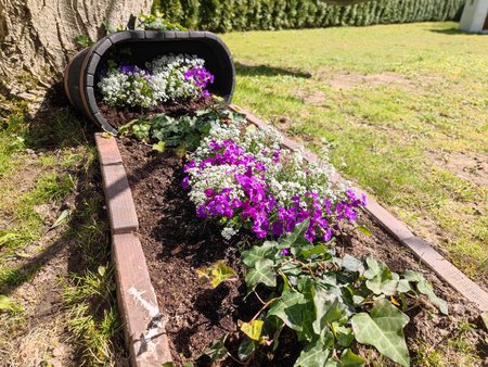 Mi11U_Flowerbed_Wide.jpg Mi11U_Flowerbed_Wide.jpg