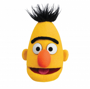 Bert-Head-300x294.png