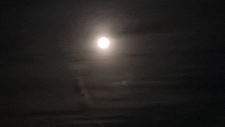 20210426_224732.jpg
