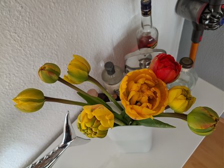 IMG_20210424_142016.jpg