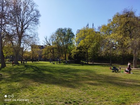 IMG_20210427_164909.jpg