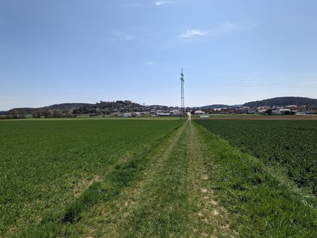 PXL_20210428_112155511.jpg