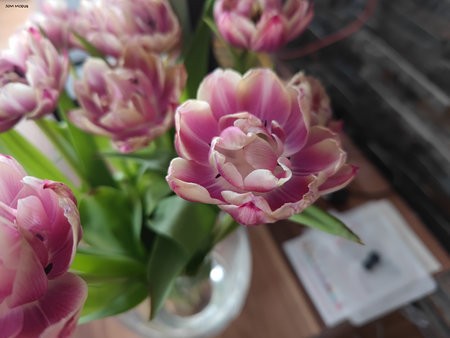 IMG_20210501_085121.jpg