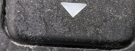 PXL_20210505_120658919.PORTRAIT_1.jpg