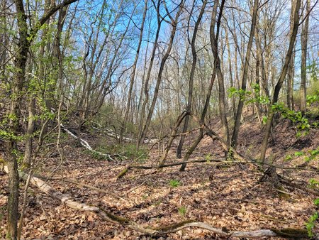 20210507_171739.jpg