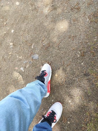 IMG_20210508_130554.jpg