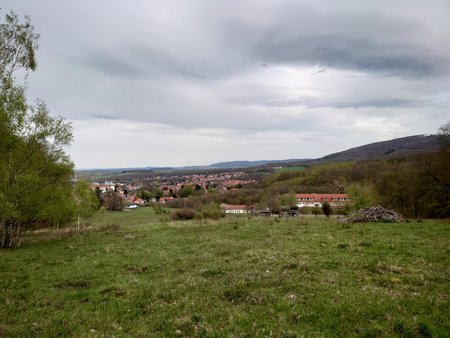 DSC_1232.JPG