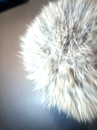 IMG_20210509_214755_160.jpg