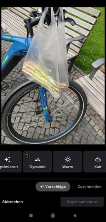 Screenshot_2021-05-10-14-56-54-104_com.google.android.apps.photos.jpg