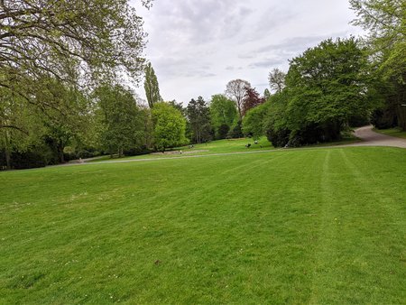 PXL_20210510_174458251.jpg