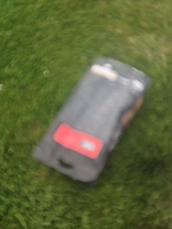 PXL_20210510_183127883.jpg
