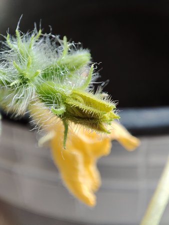IMG_20210513_161645.jpg