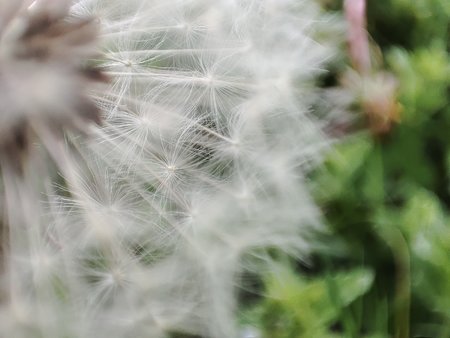 IMG_20210513_154627.jpg