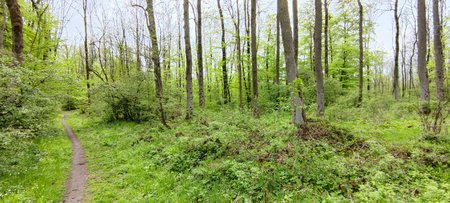 IMG_20210514_130732.jpg
