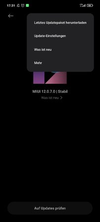 Screenshot_2021-05-20-17-31-15-978_com.android.updater.jpg
