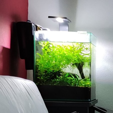 Mi_11_Lite_5g.jpg