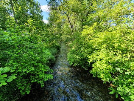20210522_172037.jpg
