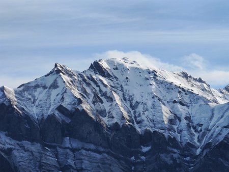 IMG_20210515_075643.jpg