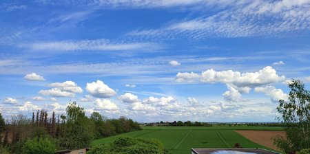 IMG_20210513_134158.jpg