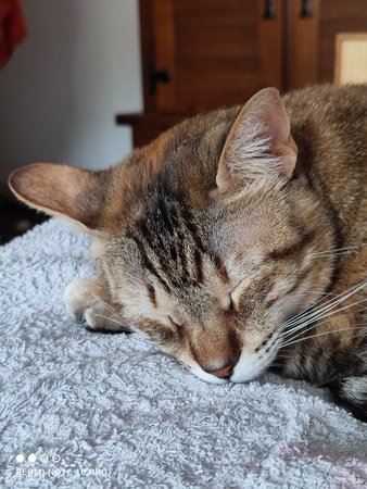 IMG_20210516_195650.jpg