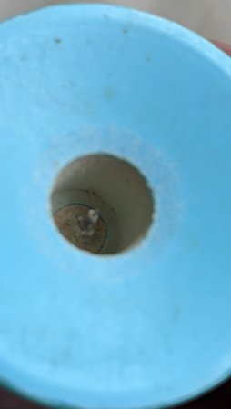 PXL_20210524_121518712.jpg